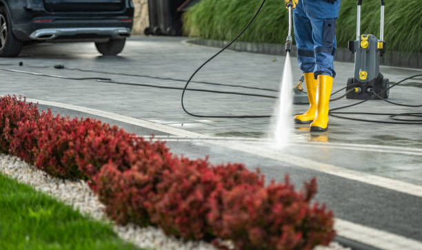 Best Roof Pressure Washing  in Liberty, PA